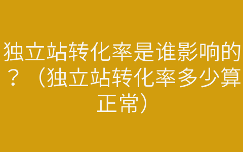 独立站转化率是谁影响的？（独立站转化率多少算正常）